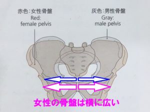 椅子から立ちあがった後の一歩目に右の股関節が痛いあなたへ アスリートヴィレッジ